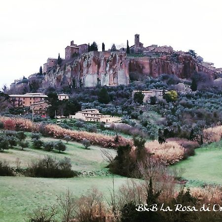 Bed and Breakfast La Rosa Di Орвието Экстерьер фото