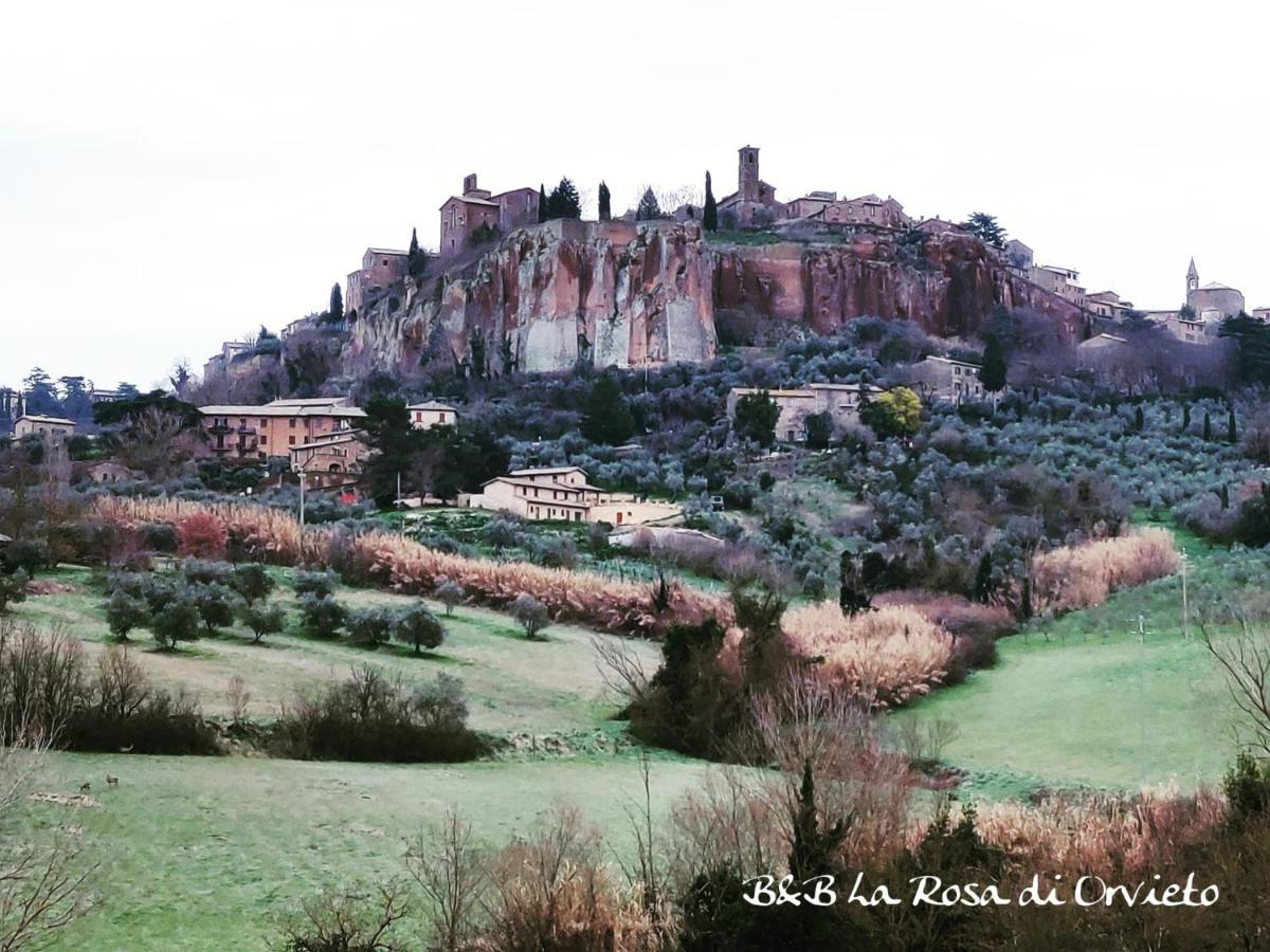 Bed and Breakfast La Rosa Di Орвието Экстерьер фото